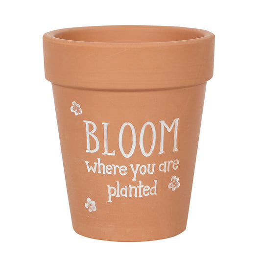 Bloom Where You Are Planted Terracotta Plant Pot - LB Boutique